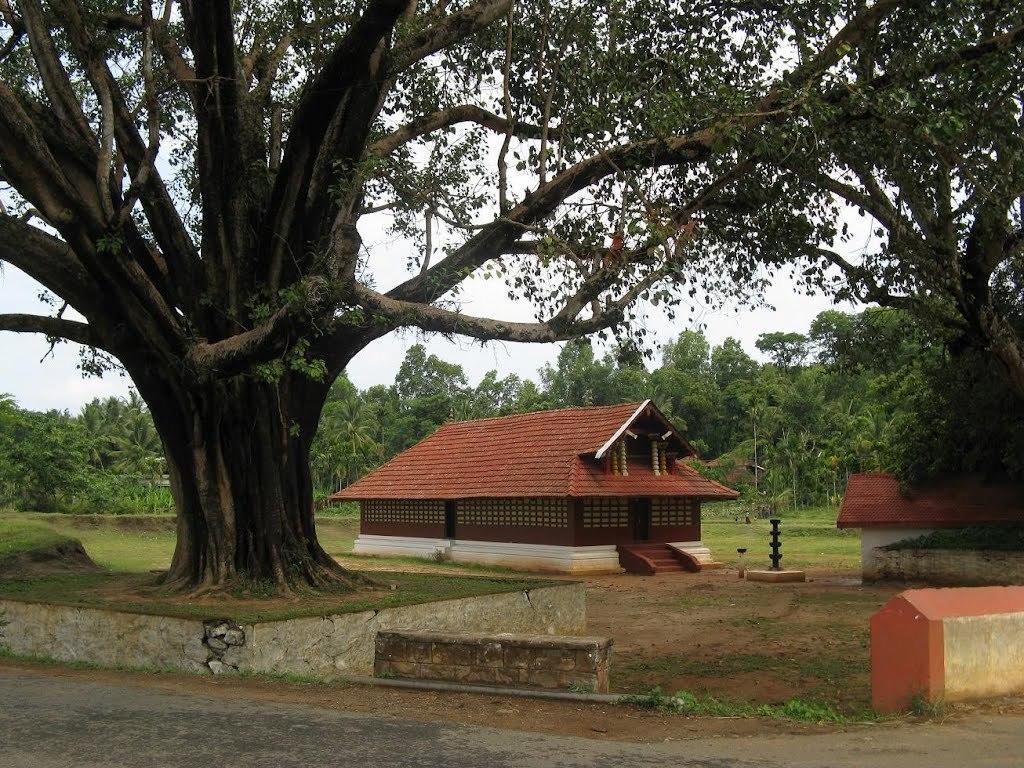 Wayanad Gate Resort Манантавади Экстерьер фото