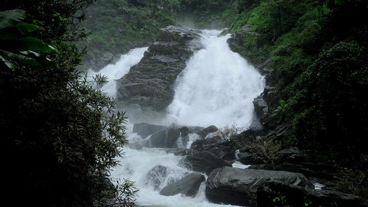 Wayanad Gate Resort Манантавади Экстерьер фото