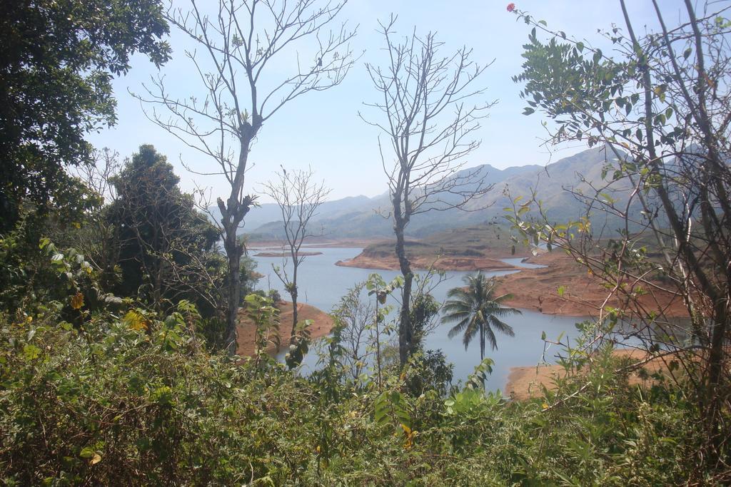 Wayanad Gate Resort Манантавади Экстерьер фото